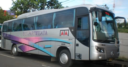 Agen Bus Harga Bus Tiket Bus po Bus Cendana