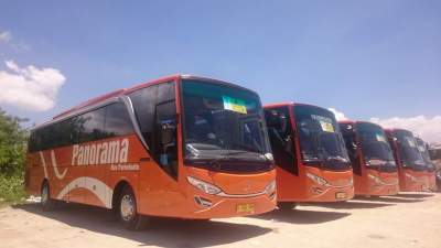 Bus Panorama Medium Terbaru