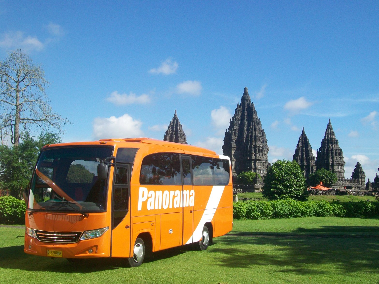 Bus Panorama Medium Terbaru